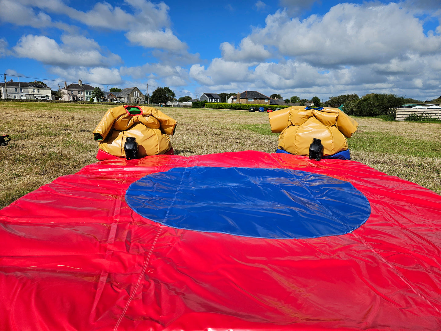 Sumo Suits - Adult